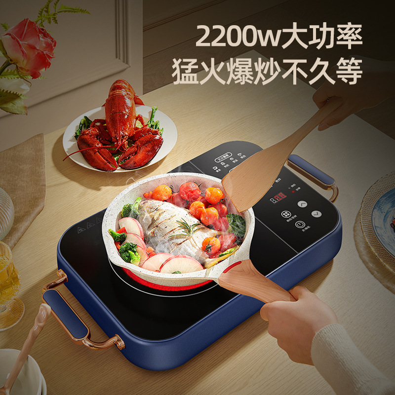 电陶炉/电磁炉/2800W电陶炉细节图