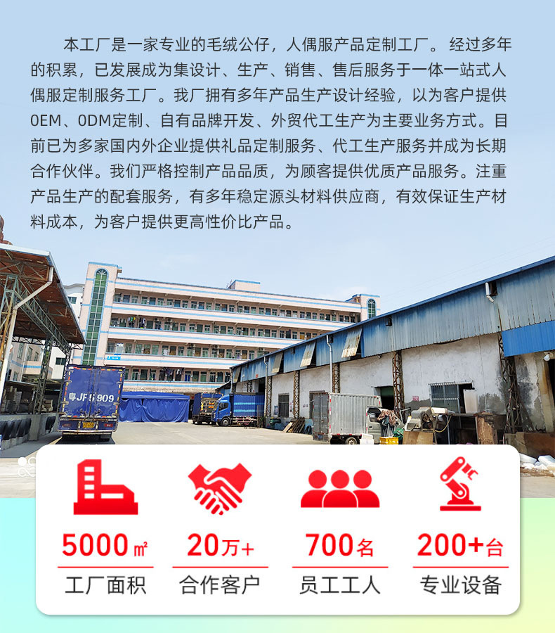 毛绒玩具定制公仔玩偶服来图挂件钥匙扣抱枕图片布娃娃吉祥物定做详情4