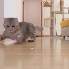 亚马逊激光投影逗猫笔多图案替换逗猫棒猫咪互动玩具猫猫玩具批发