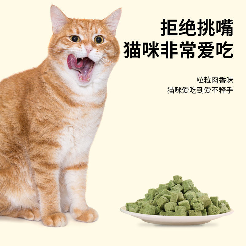猫猫零食实物图