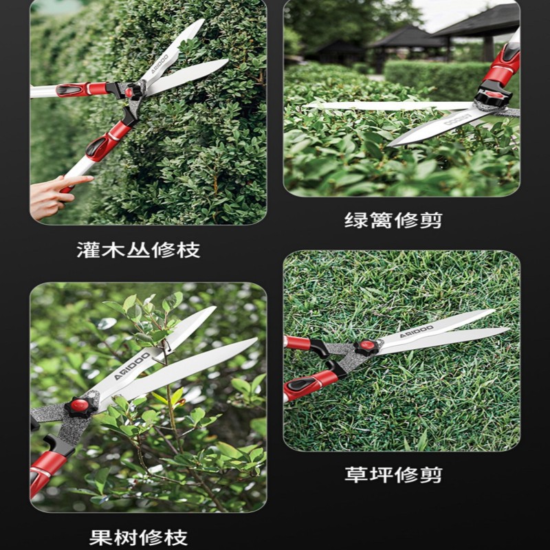 import细节图