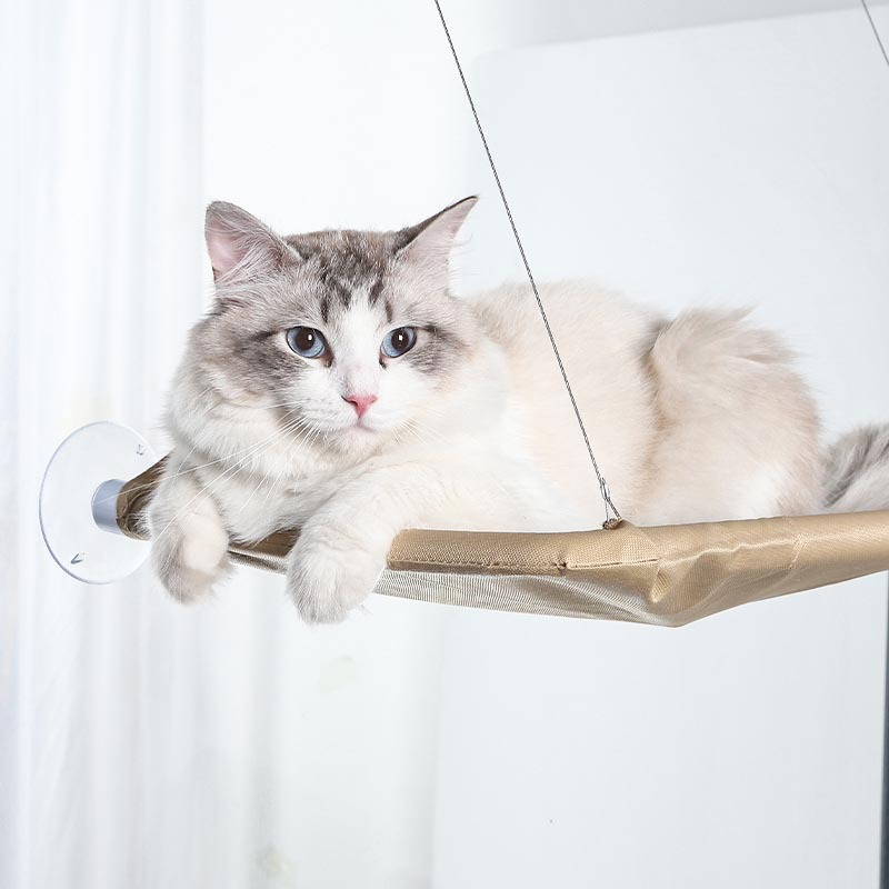 Pet cat hammock Suction cup hanging cat nest Comfortable and durable folding windowsill cat bed four seasons universal pet hammock Application Scenario