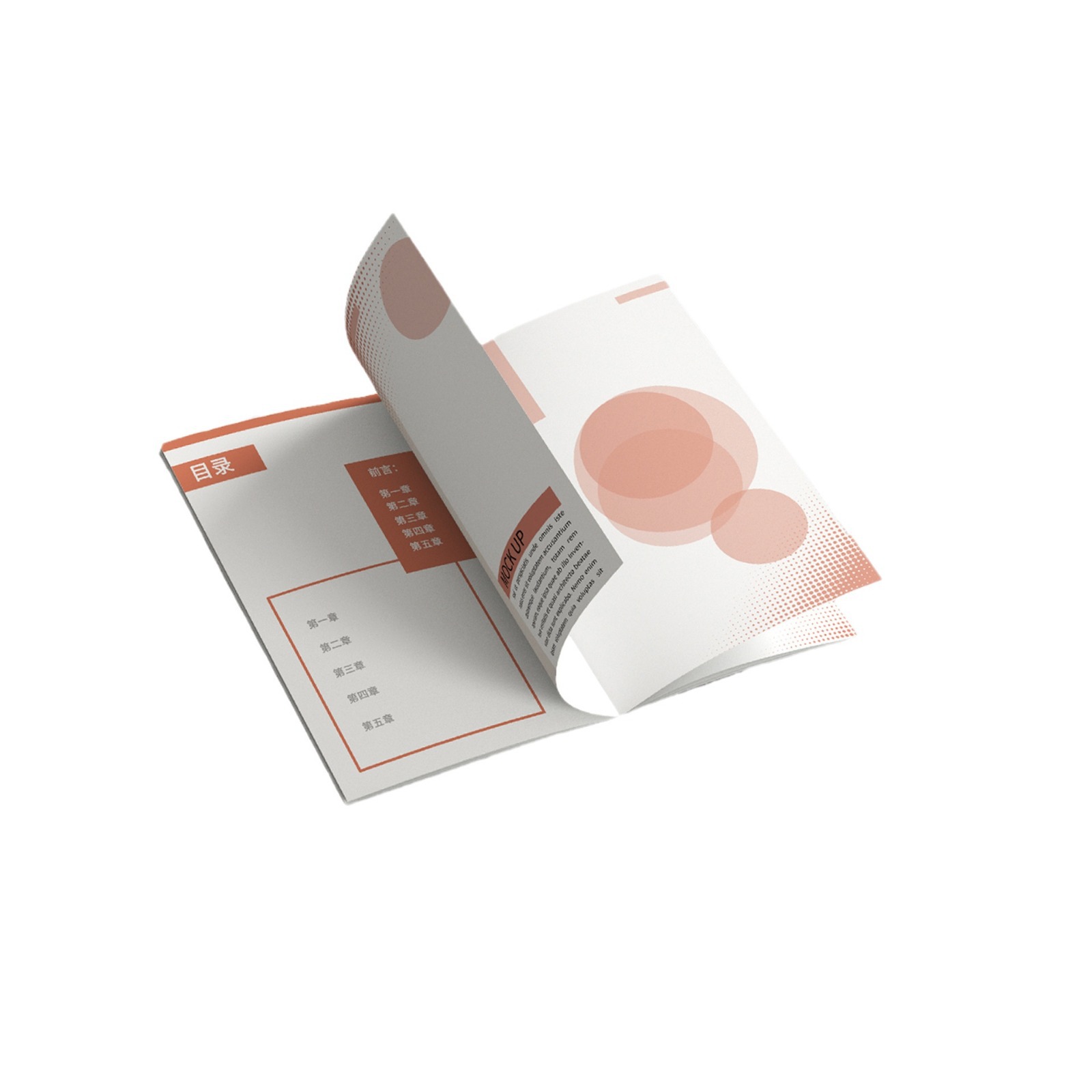 import白底实物图