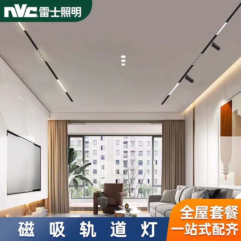 Raishi lighting magnetic track light Bedroom living room embedded no main light hidden line light household magnetic light