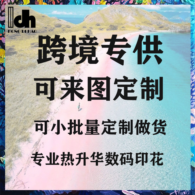 Two pairs of cross-border men's beach pants with full print of floral patterns, 3d digital printed quick-drying sports shorts for European and American export details Picture