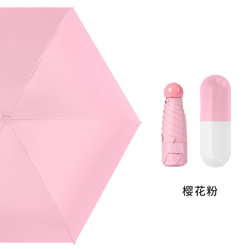 其他宠物周边用品实物图