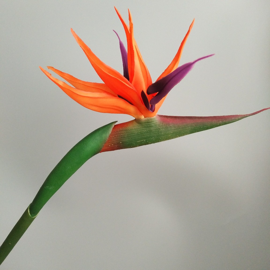 Soft rubber paradise Bird Crane Orchid New Chinese-style home model room decoration design, overseas wedding photography artificial flower Specification image