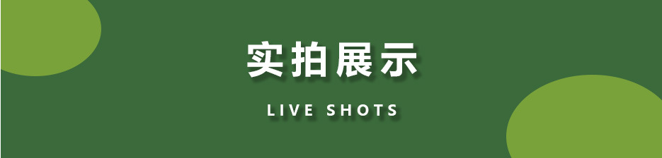 金属小桶 带提手水桶 家用镀锌铁小桶 花园花桶 装饰桶 铁皮水桶详情7