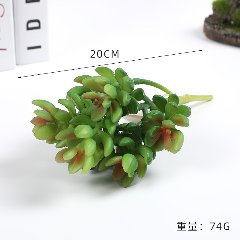 New Simulation Plastic Fleshy Lifelike Feel Flower Arrangement Fleshy Gardening Decoration Fleshy Green Plant Multi-Head Combination Wholesale Specification drawing