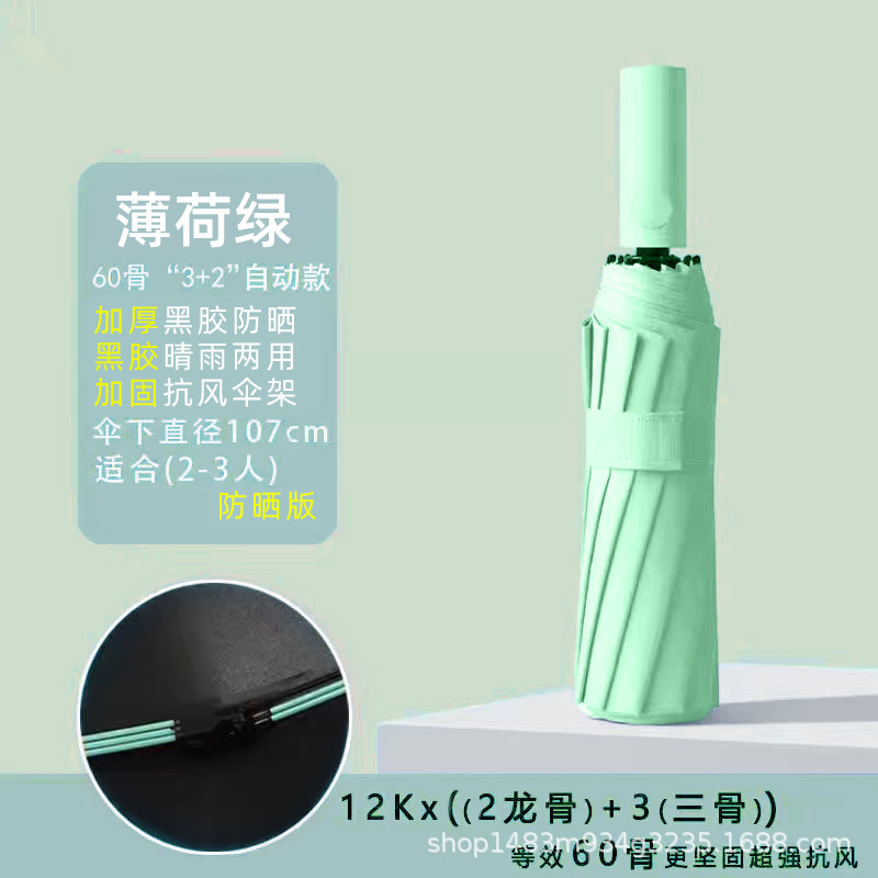 其他伞实物图