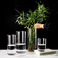 直筒现代简约透明玻璃高级感花瓶家用水培高颜值装饰摆件ins风图