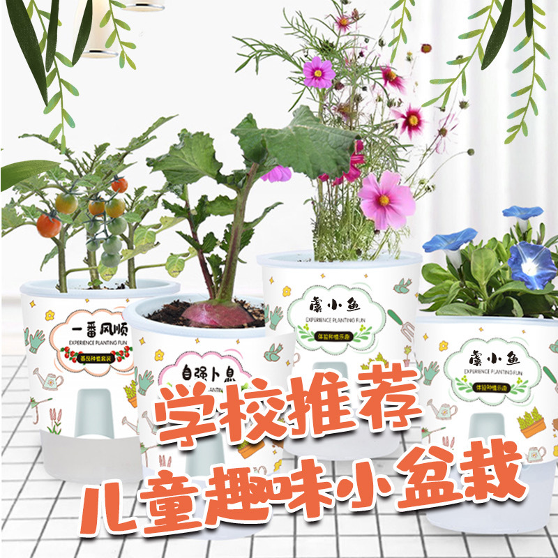 import产品图