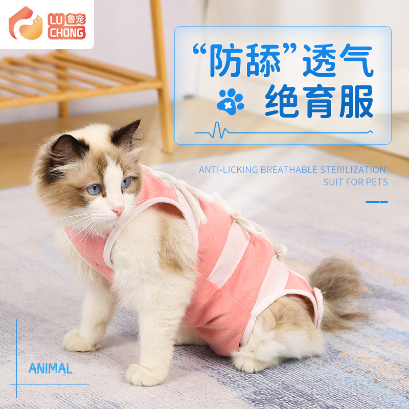 狗狗猫咪绝育服防脱防抓术后透气断奶服可调节猫衣服宠物绝育服