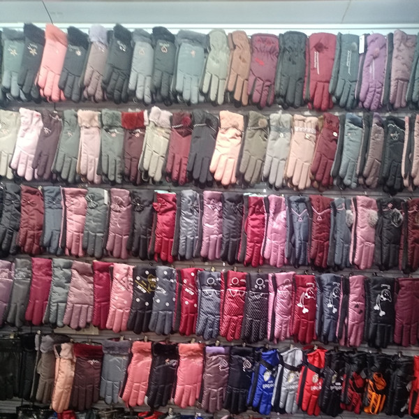 Cross-border adult gloves for women, warm gloves for street stalls, bicycle riding in stock, casual with fleece wholesale