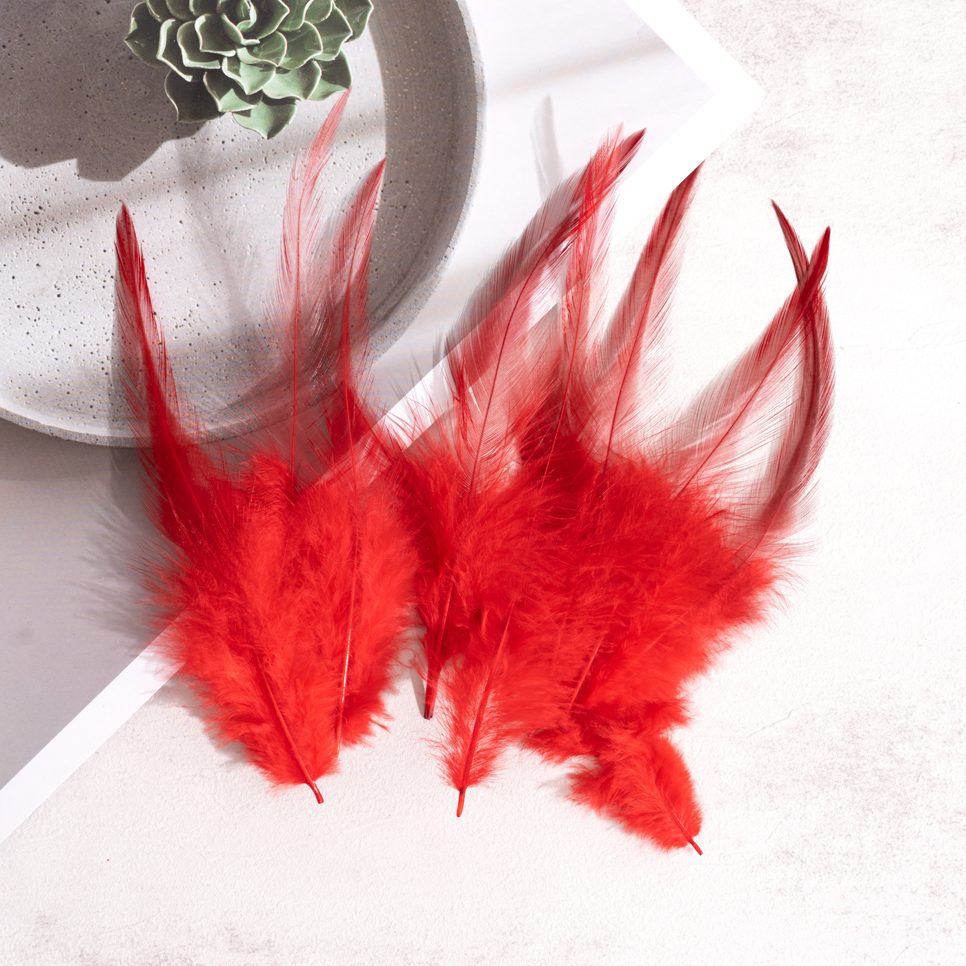 羽毛批发10-15彩色红尖野鸡毛逗猫棒diy猫玩具配件工艺品装饰材料详情8