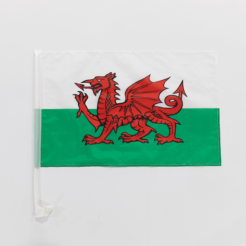 Customized new cross-border American flag card-style car flagpole polyester American Independence Day National Day car flag pic 10