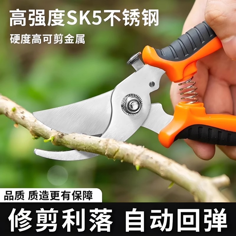 修枝剪园林花艺修剪树枝剪刀果树剪刀粗大花剪园艺剪子摘果神器