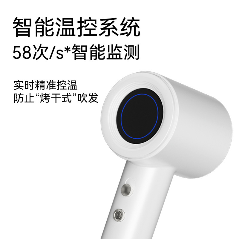 Hotel High Speed Hair Dryer Anion Hair Care Quick Dry Blower High Power Home Hair Salon Barbershop Gift Application Scenario