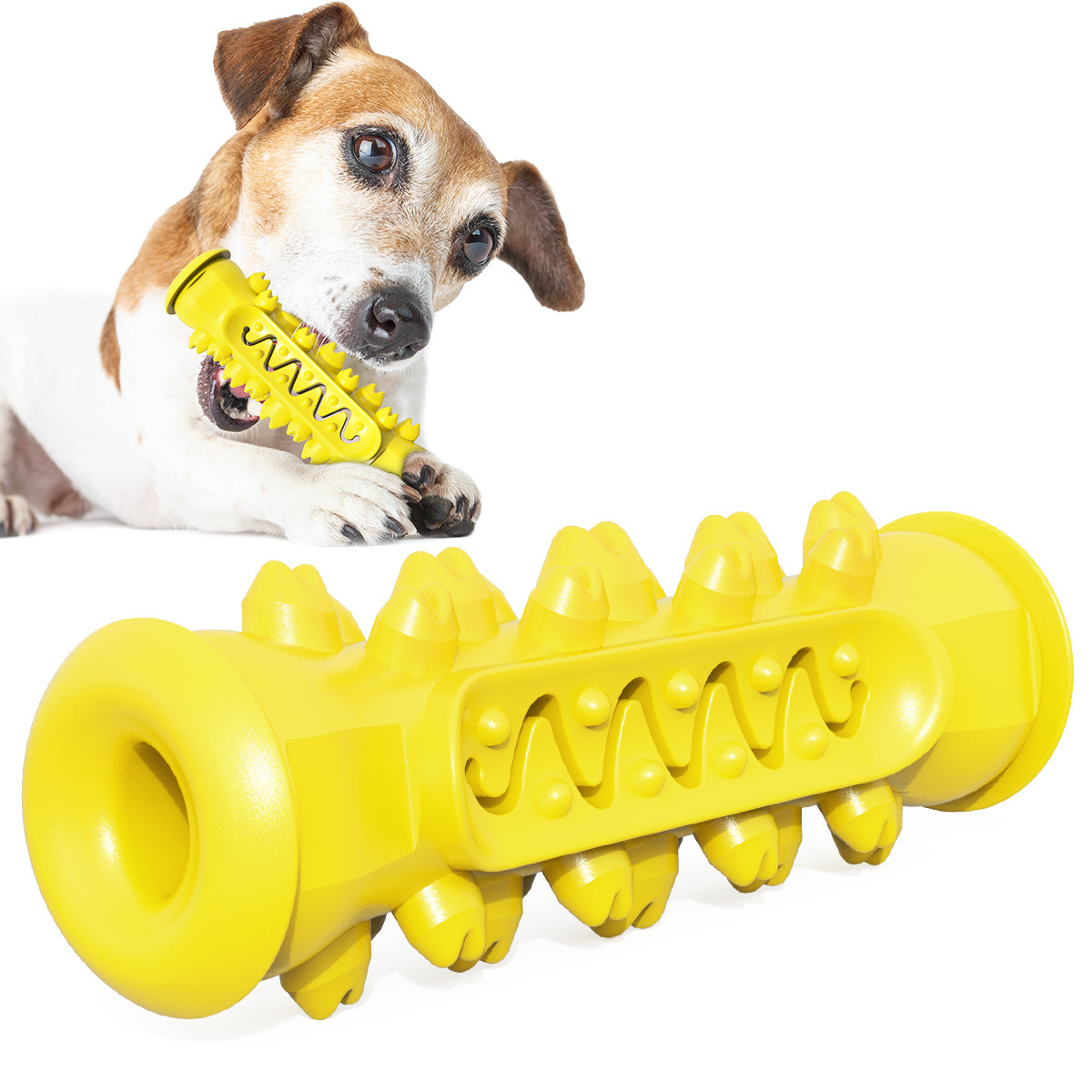 Pet supplies, dog teething sticks, leaky dog toys, floating dog toothbrushes on water Item Picture