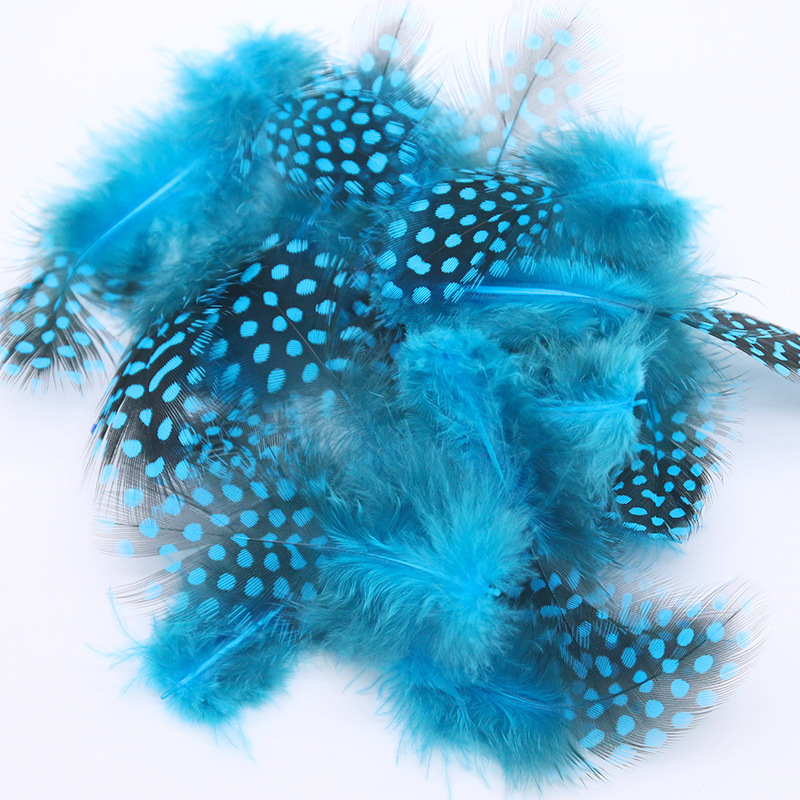 羽毛、羽绒实物图