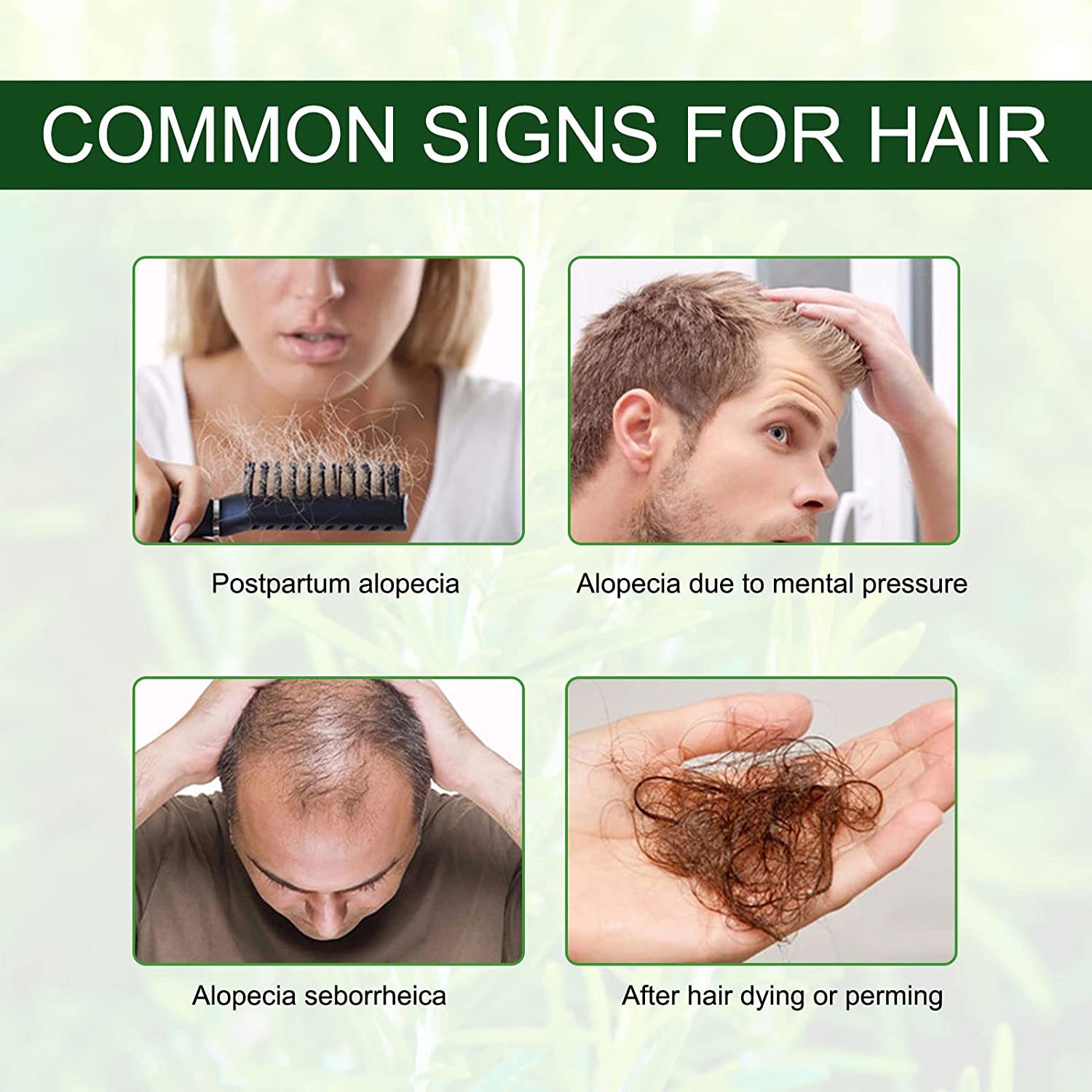 iBeaLee Cross-border Herbal Hair Growth Serum Hair Growth oil Hair growth agent Hair nutrition solution Application Scenario