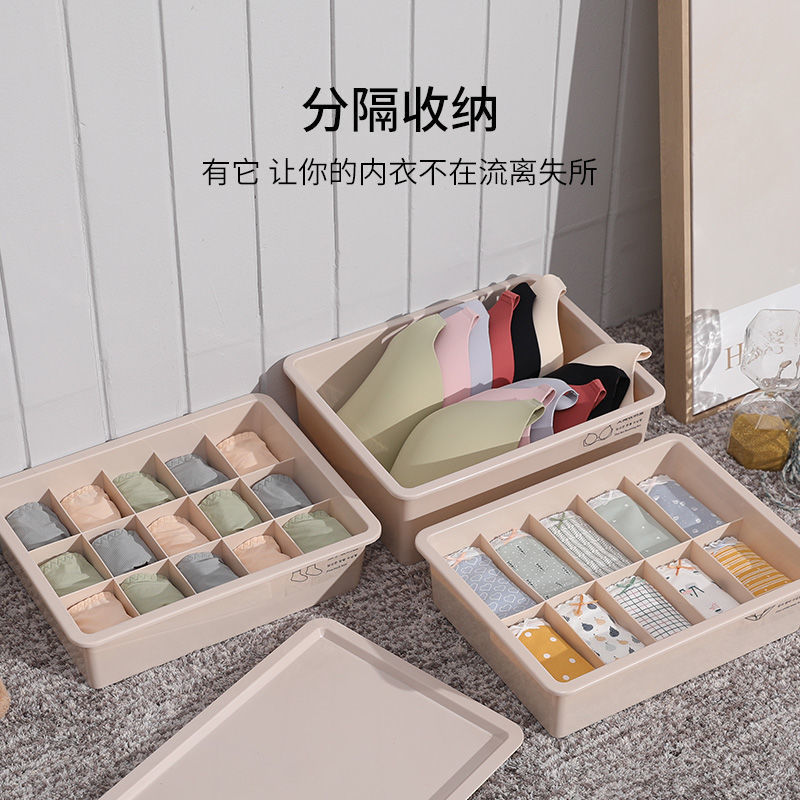 Underwear storage box Specification image