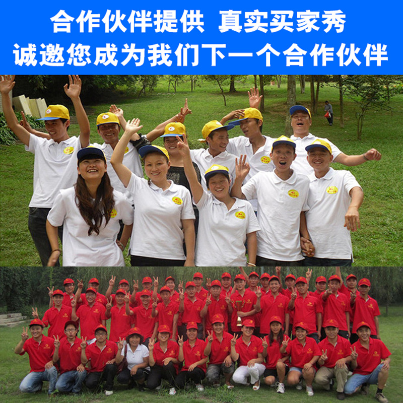 Custom T-shirt round collar lapel quick drying cotton work clothes custom polo shirt advertising shirt r printed logo short sleeve Item Picture