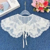 Embroidered butterfly transparent mesh collar clothing accessories details Picture