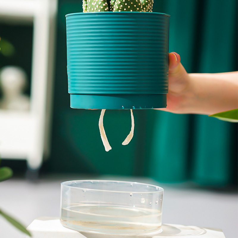 透明塑料水培花盆绿萝花卉自吸水懒人小花盆阳台室内植物水养盆器详情图2