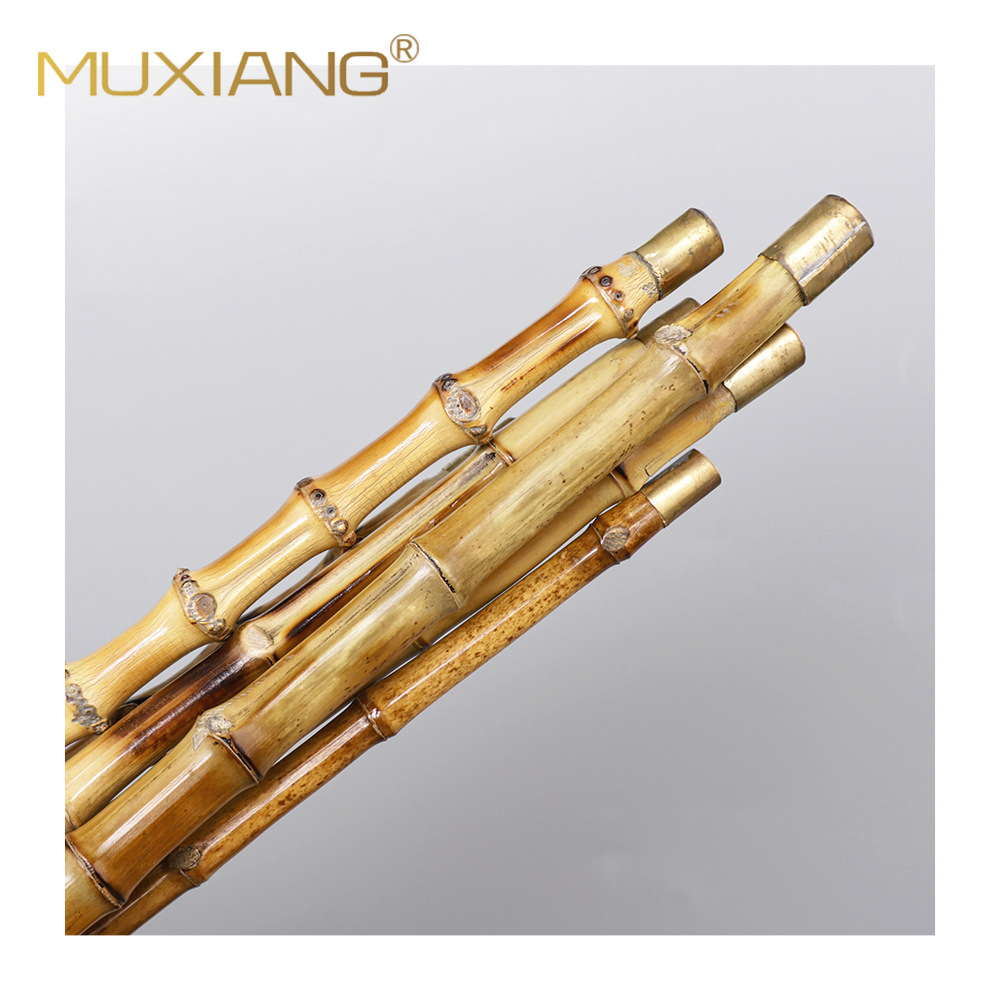 木香老式竹子白底实物图