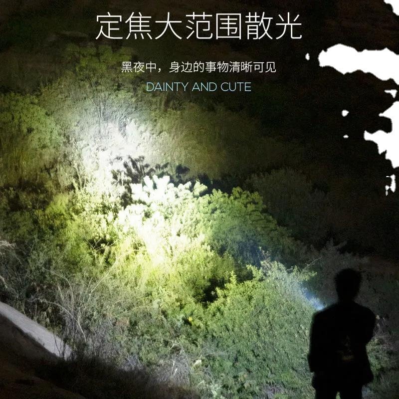 手电筒实物图