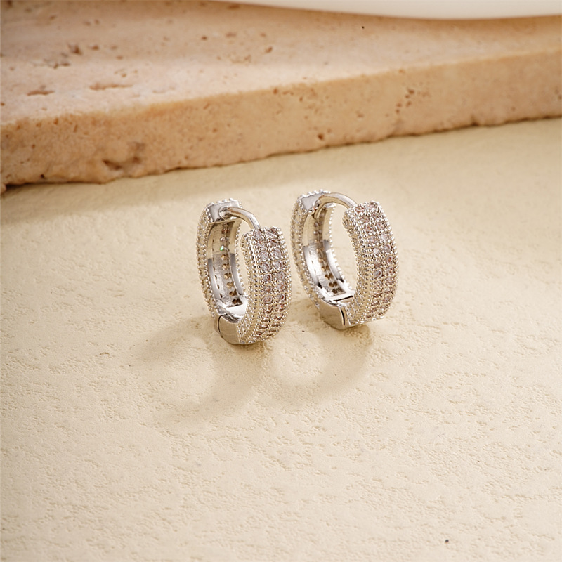 European and American double-row full-diamond fashionable, light luxury, micro-set individual earrings, women's trendy, exquisite and high-end ear accessories Application Scenario