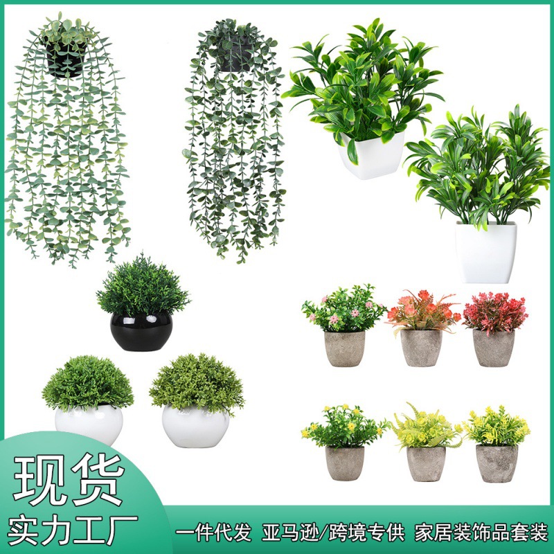 盆栽实物图