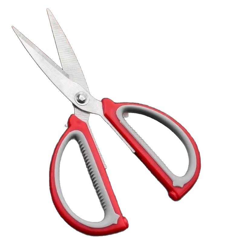 import白底实物图