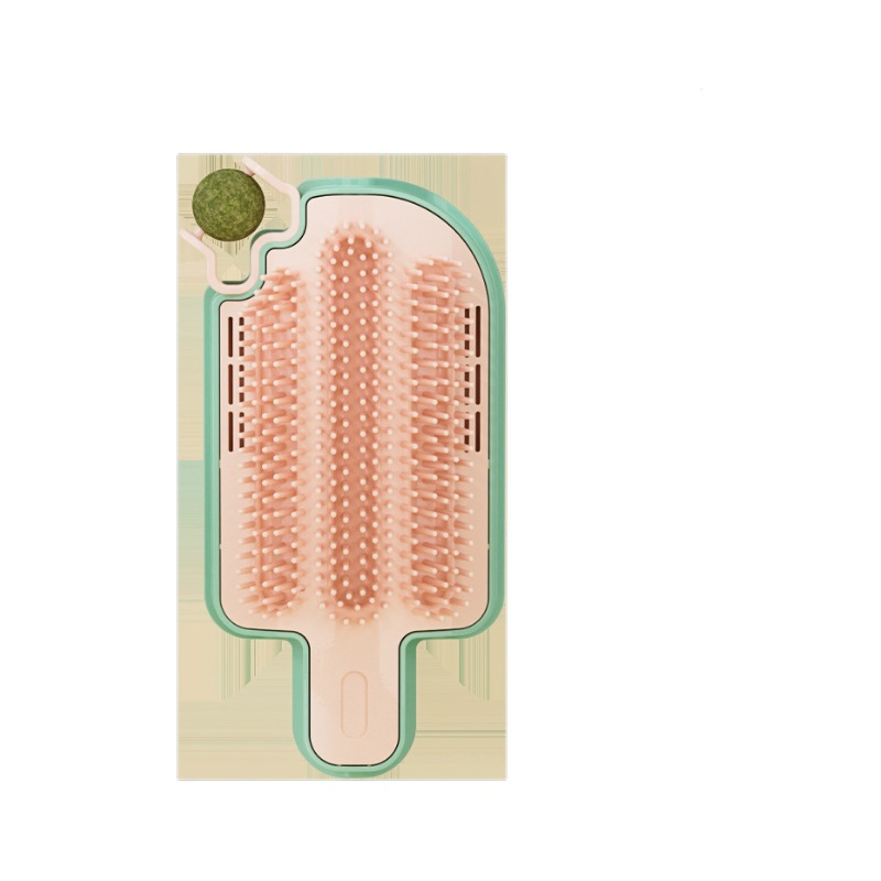 import白底实物图