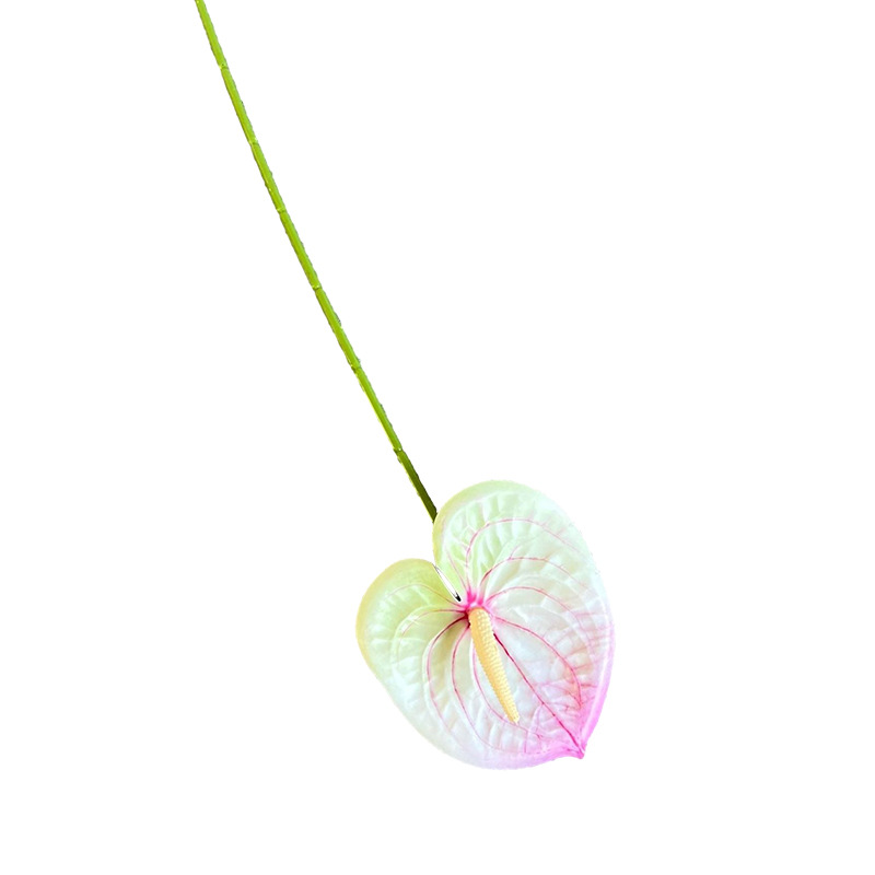 防真插花/仿真花/多肉仿真花/微景观手工苔藓批发/绿植装饰白底实物图