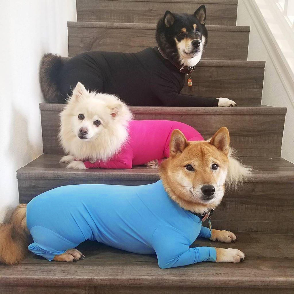 Big Dog Manufacturers Base Full Package Four-Legged Autumn And Winter Dog Clothes Four-Legged Clothing Pet Clothing Cat Elastic