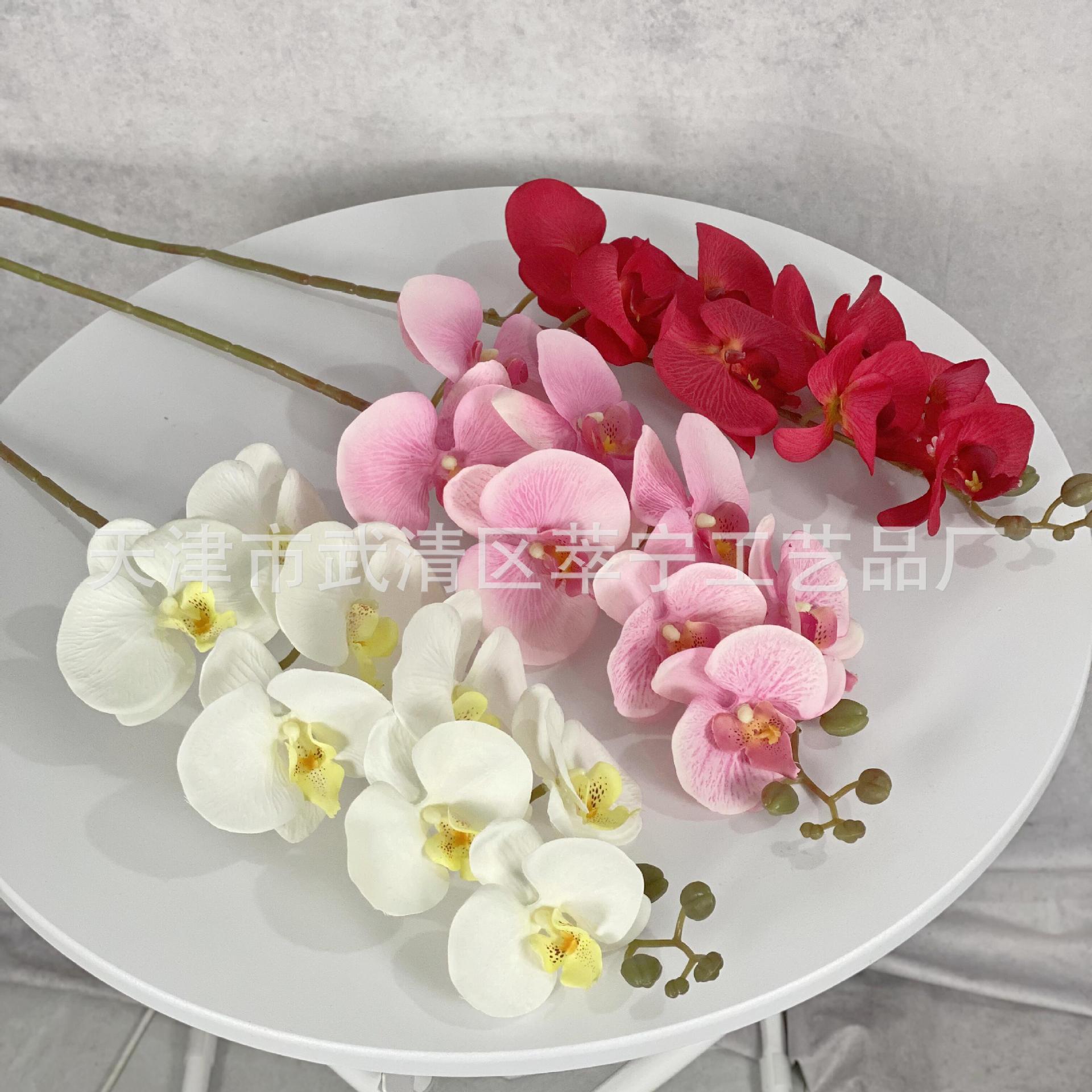 8 Head Display Pattern Peach Velvet Phalaenopsis Simulation Flower Wedding Flower Arrangement Home Decoration Living Room Decoration Accessories Cross-Border Manufacturers details Picture