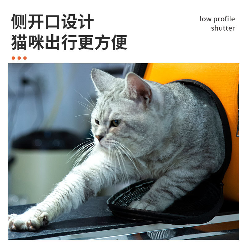 猫猫包、箱实物图