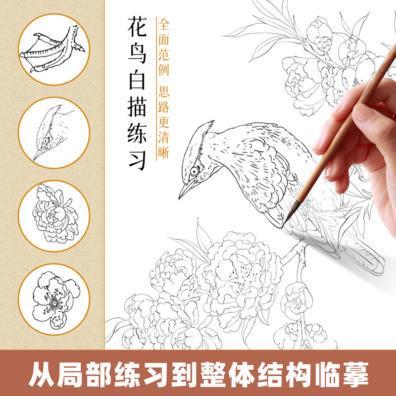 الرسم الصيني بالرسم الأبيض والنسخ المكتمل بستة مجلدات من الرسومات الوطنية Specification image
