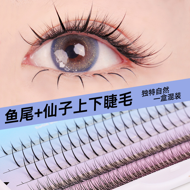 shanilak A-type fairy fishtail false eyelashes 5 rows mixed, brown and black available. Popular self-extended eyelashes for long-lasting curling details Picture