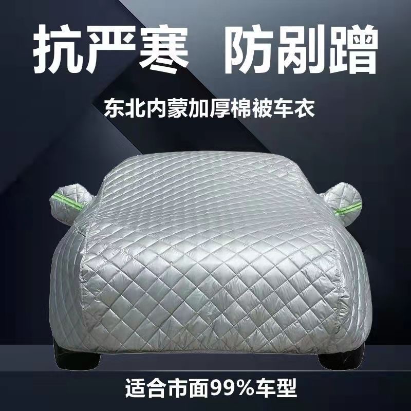 汽车车衣实物图