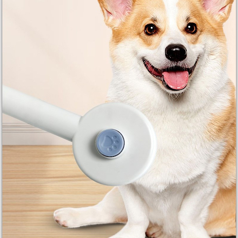 New USB charging ultraviolet sterilization comb for pets, hair-removing needle comb, pet cleaning and grooming products Application Scenario