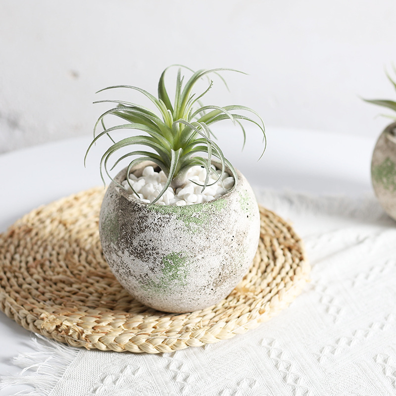 New Cement Succulent Flower Pot Moss Color To Do Old Retro Gardening Ornaments Succulent Green Plant Planter Wholesale Stock Specification drawing