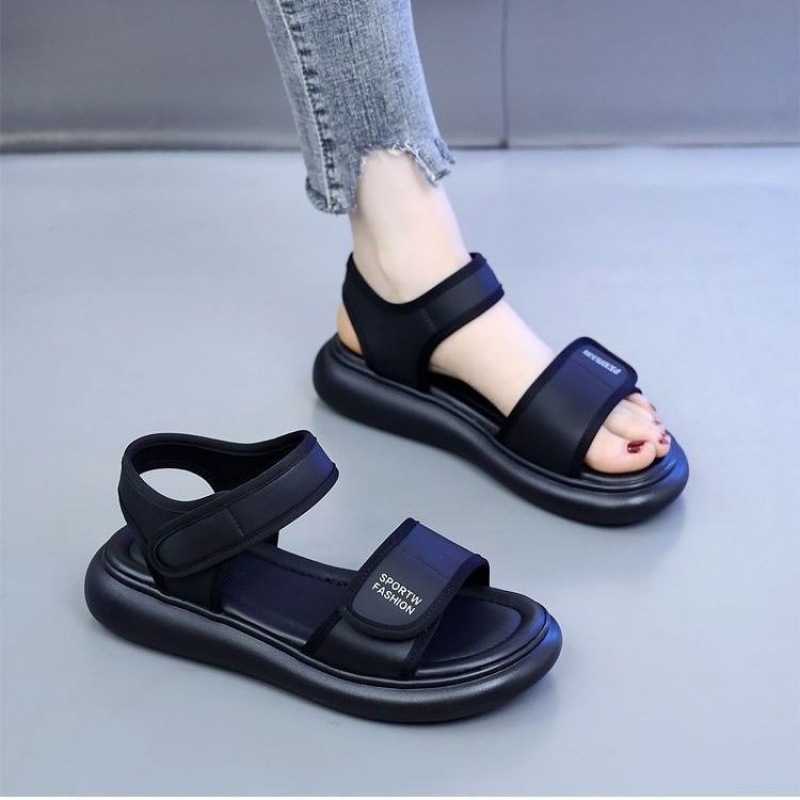 import白底实物图