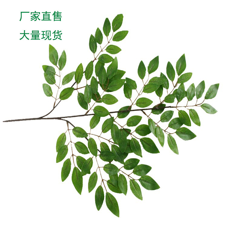 仿真植物假树/工艺品/软装用品产品图