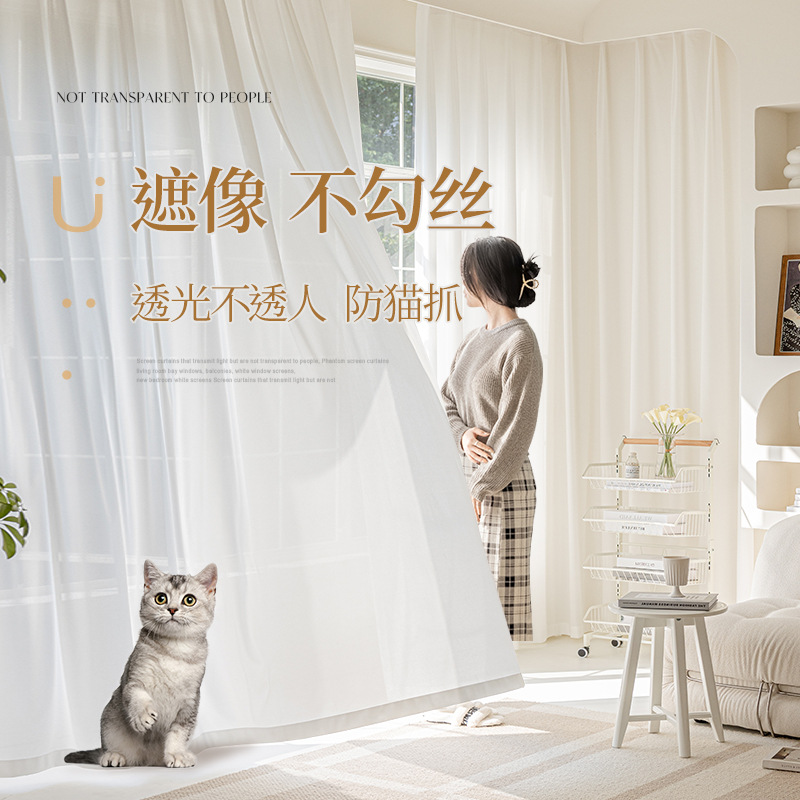 幻影纱窗帘纱帘透光不透人白色窗纱客厅阳台飘窗遮阳白纱2025新款