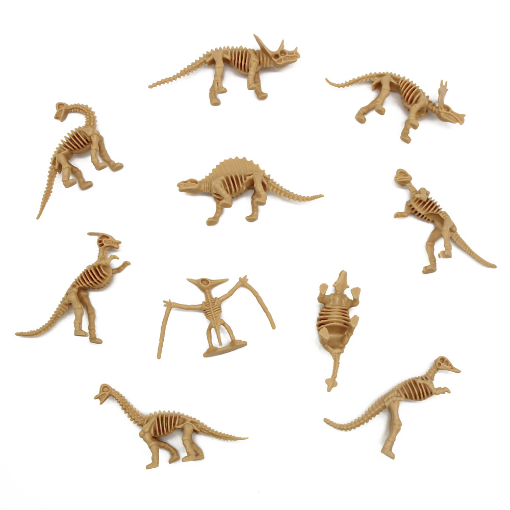 亚马逊恐龙骨/亚马逊热销小细节图