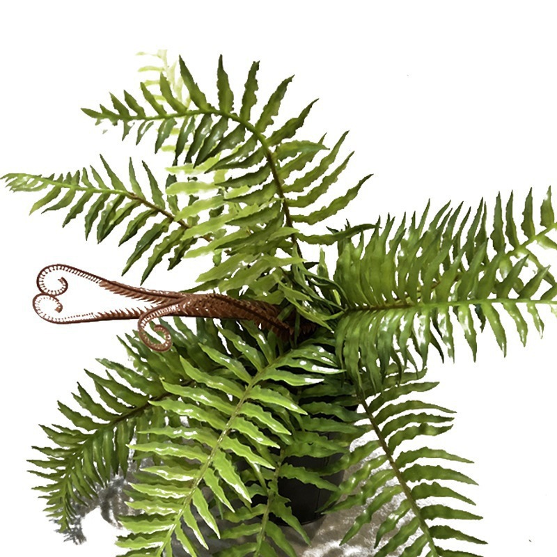 花束/仿真植物/绿植摆件/绿植装饰/竹子装饰白底实物图