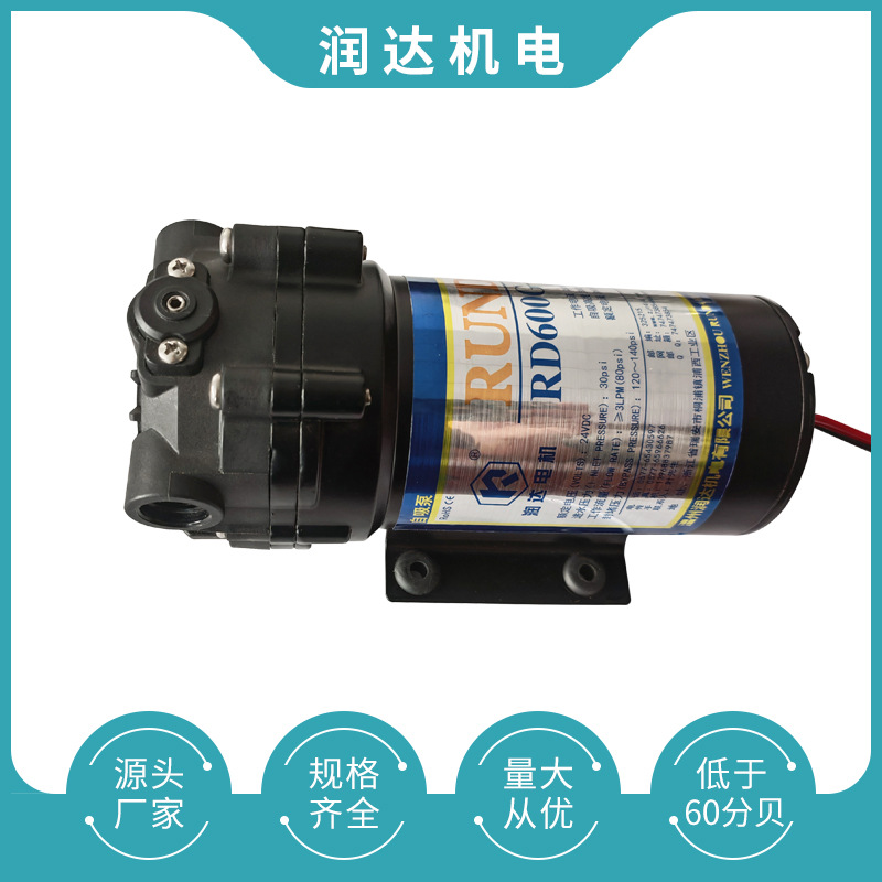 24V净水器自吸泵RD600G-S高压泵园林泵 厂家 现货 批发 温州白底实物图